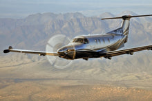 Load image into Gallery viewer, Pilatus PC-12 Plane Tint