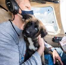 Load image into Gallery viewer, Piper PA28,PA32,PA34,PA24 and similar. Lance, Saratoga , archer, warrior, Cherokee Plane Tint kit