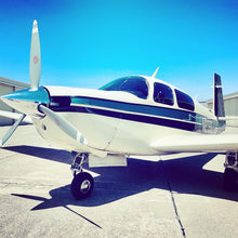 Load image into Gallery viewer, Mooney Plane Tint